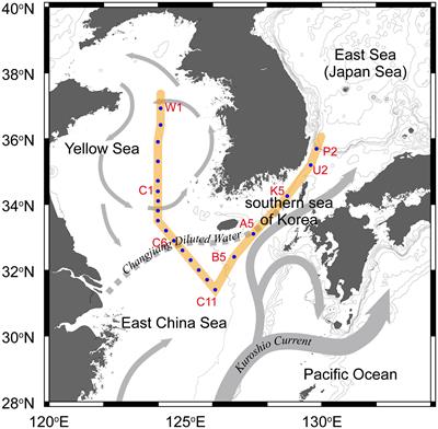 Dissolved organic matter in the northwestern Pacific marginal seas: Insight into the distribution of its optical properties